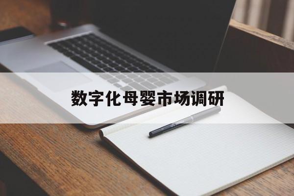 运城市数字化母婴市场调研(数字化母婴市场调研报告)